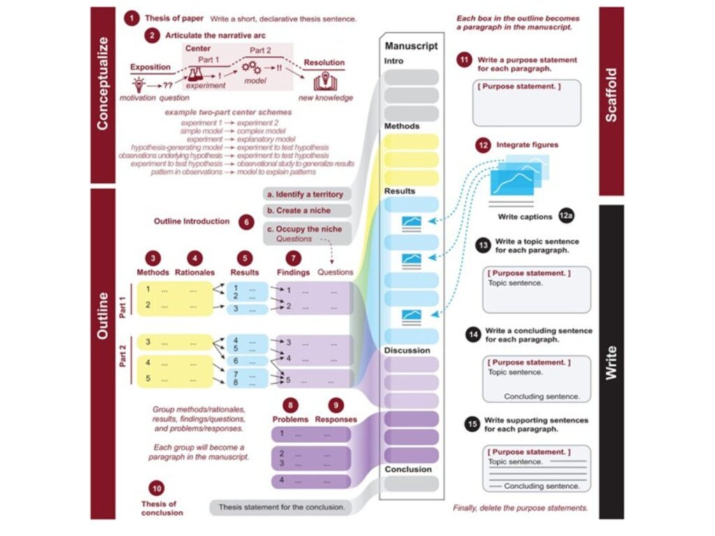 How to Write a Scientific Paper in 15 Steps